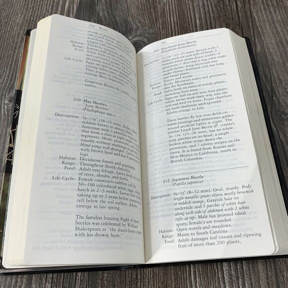 National Audubon Society Field Guide to Insects and Spiders : North America - Picture 11 of 12